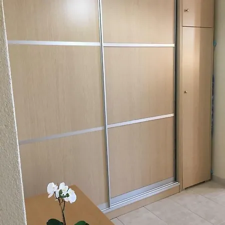 Athinaios Porto Klisouri 公寓 伊里斯斯
